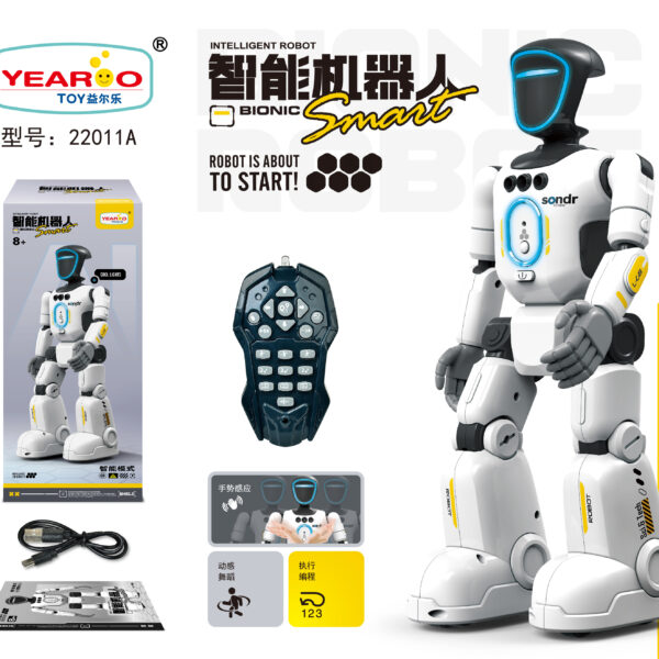 Remote Control Robot Toy - Multi-Language RC Educational Robot USB Wholesale